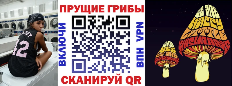 Галлюциногенные грибы мицелий  Хвалынск 